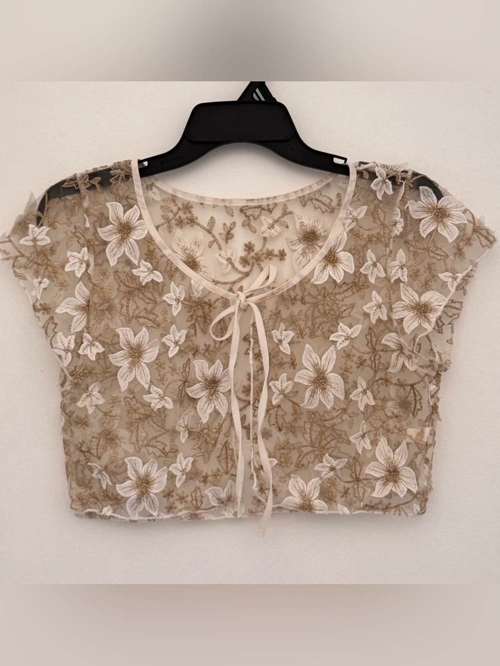 Embroidered Sheer Tie-Front Blouse - Cream - Picture 1 of 7